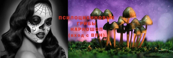 МДПВ Кукмор