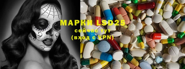 ECSTASY Белокуриха