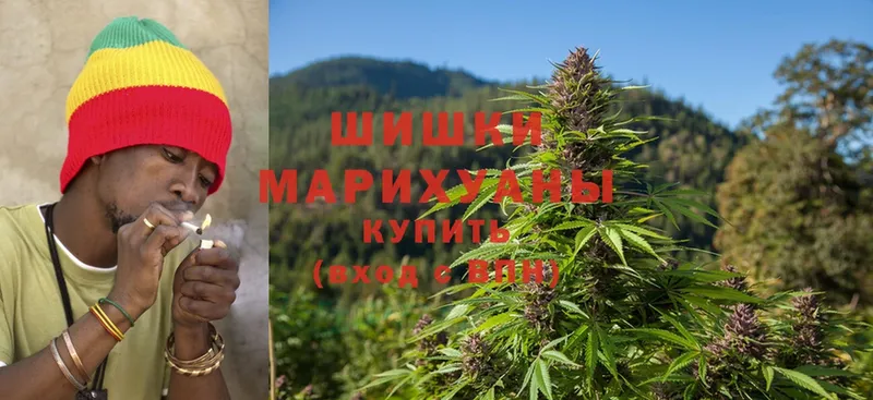 дарнет шоп  кракен ТОР  Каннабис Ganja  Бологое 